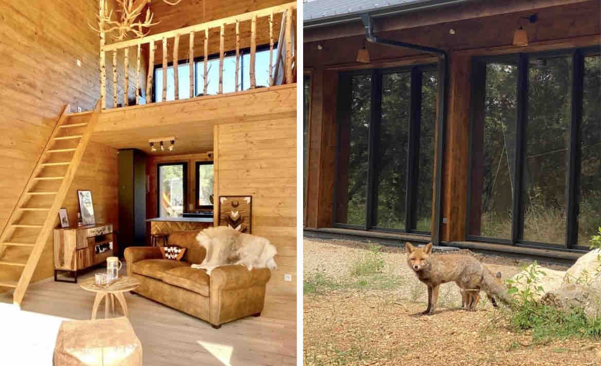 Ecolodge Cherokee avec les Renards