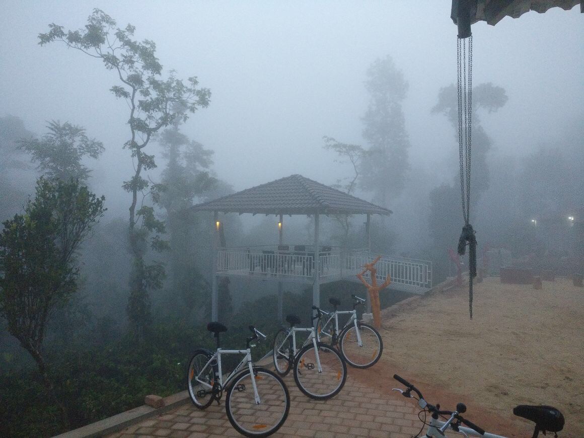 罗布斯塔山谷（ Robusta Valley ） --宁静之中。