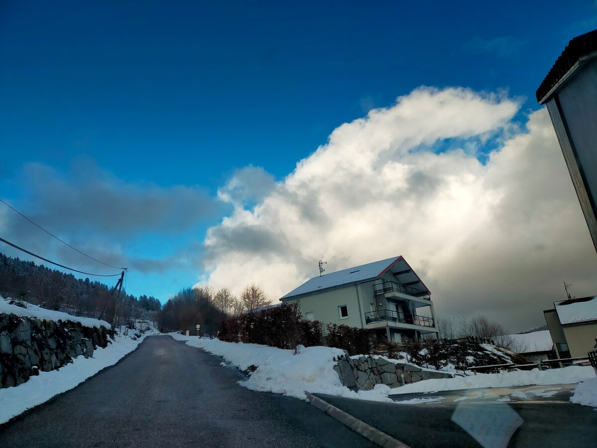 Appartement F2 sur les coteaux de  Gérardmer