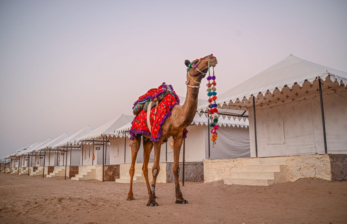 Luxury Desert Camping 2 swiss tent