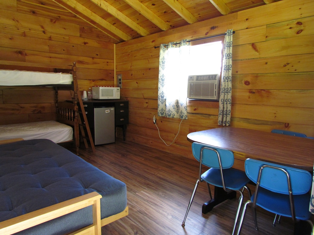 Riverside Cabin rental on the Allegheny River. #1