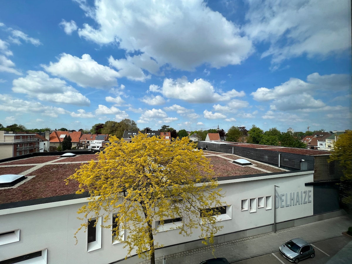 阳光明媚的公寓，可俯瞰Kortrijk