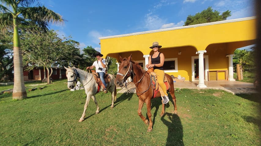 Yucatán的民宿