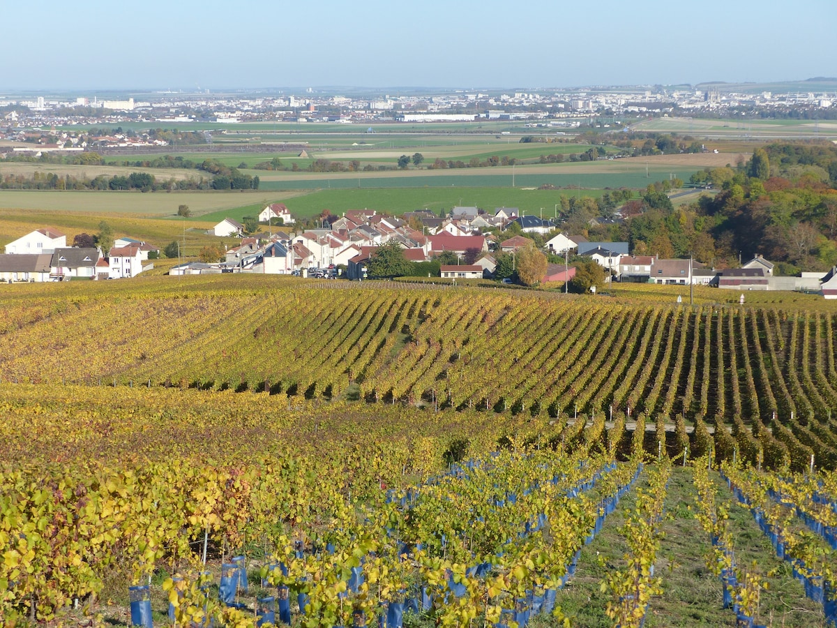 Gite des Crayères in the Reims