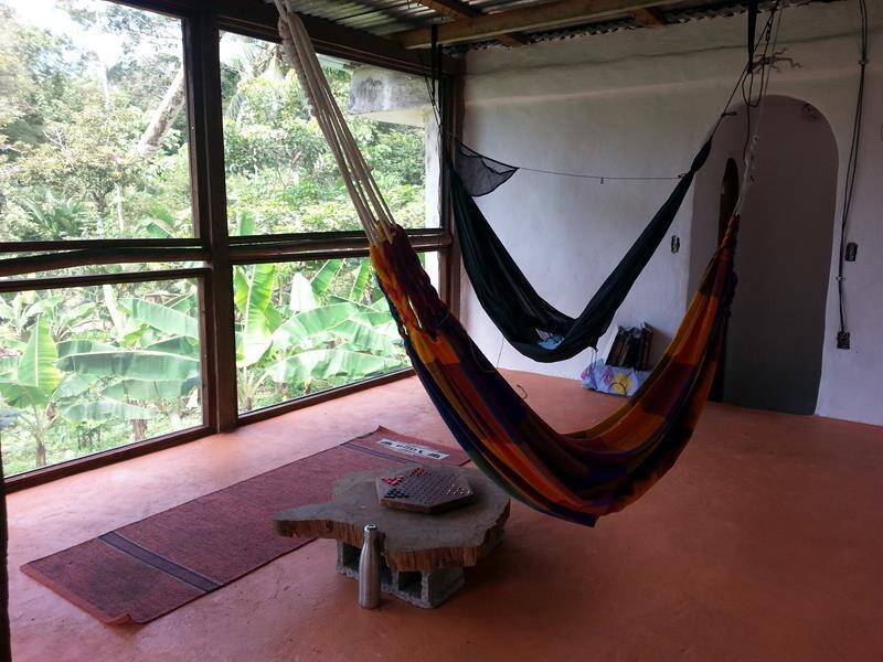 IPC Basecamp - Room with a jungle view