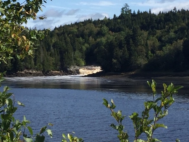 Dominion Hill Country Inn - Harbour Cabin