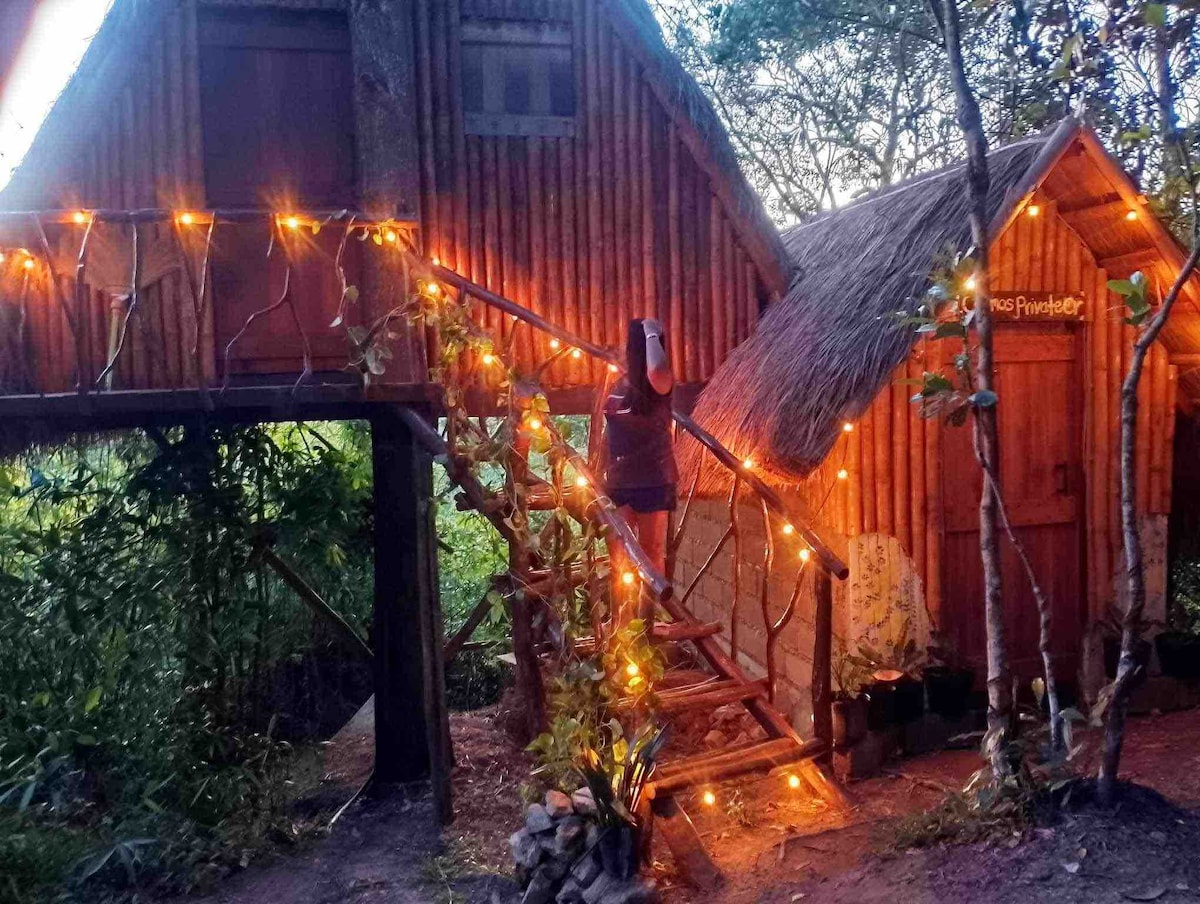 Sanctuaria Treehouses Cosmos Treehouse