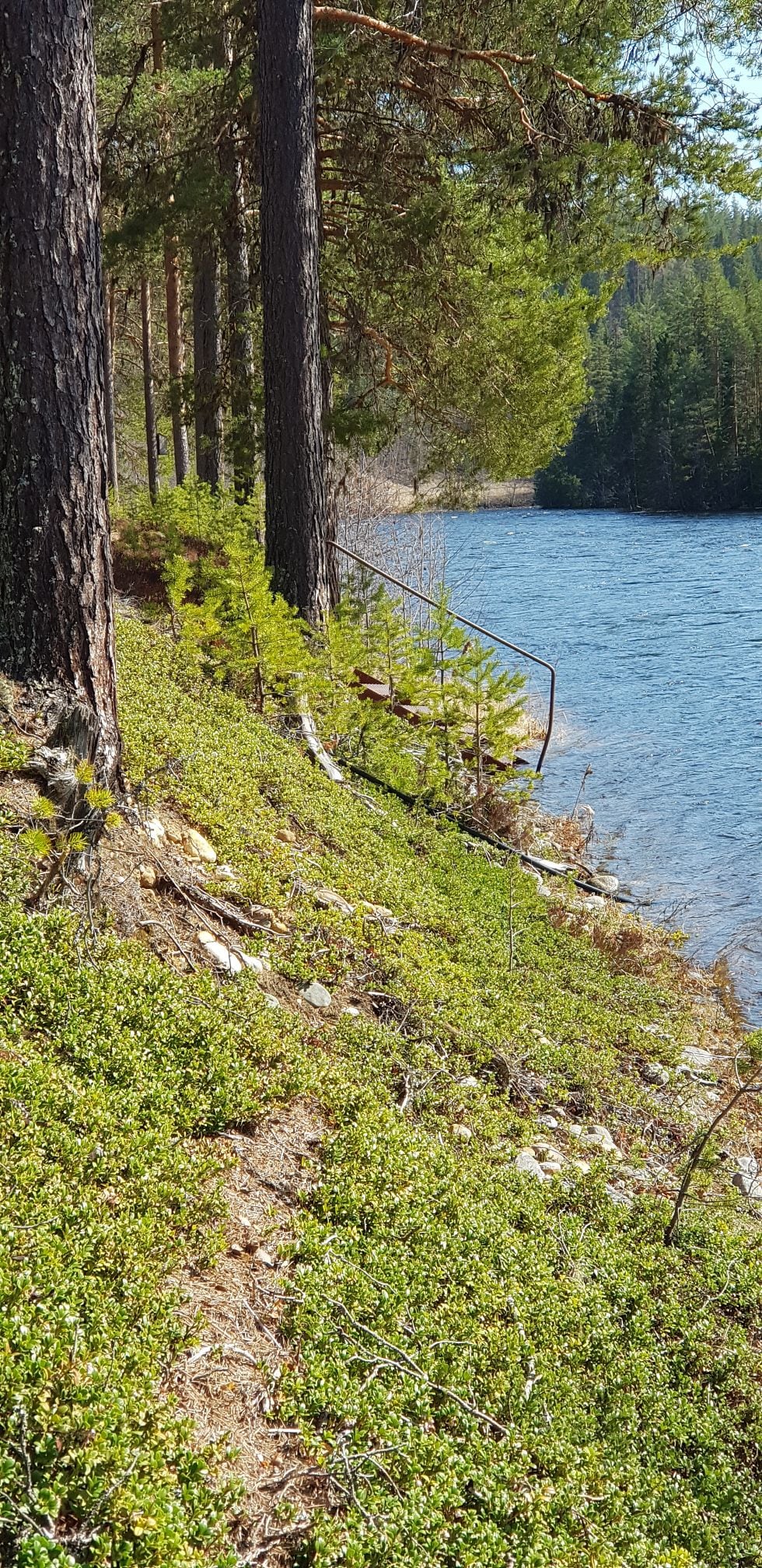 Mysig trivsam stuga 15m från natursköna Ammerån