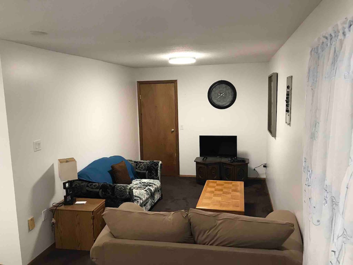 Affordable and very spacious basement suite!