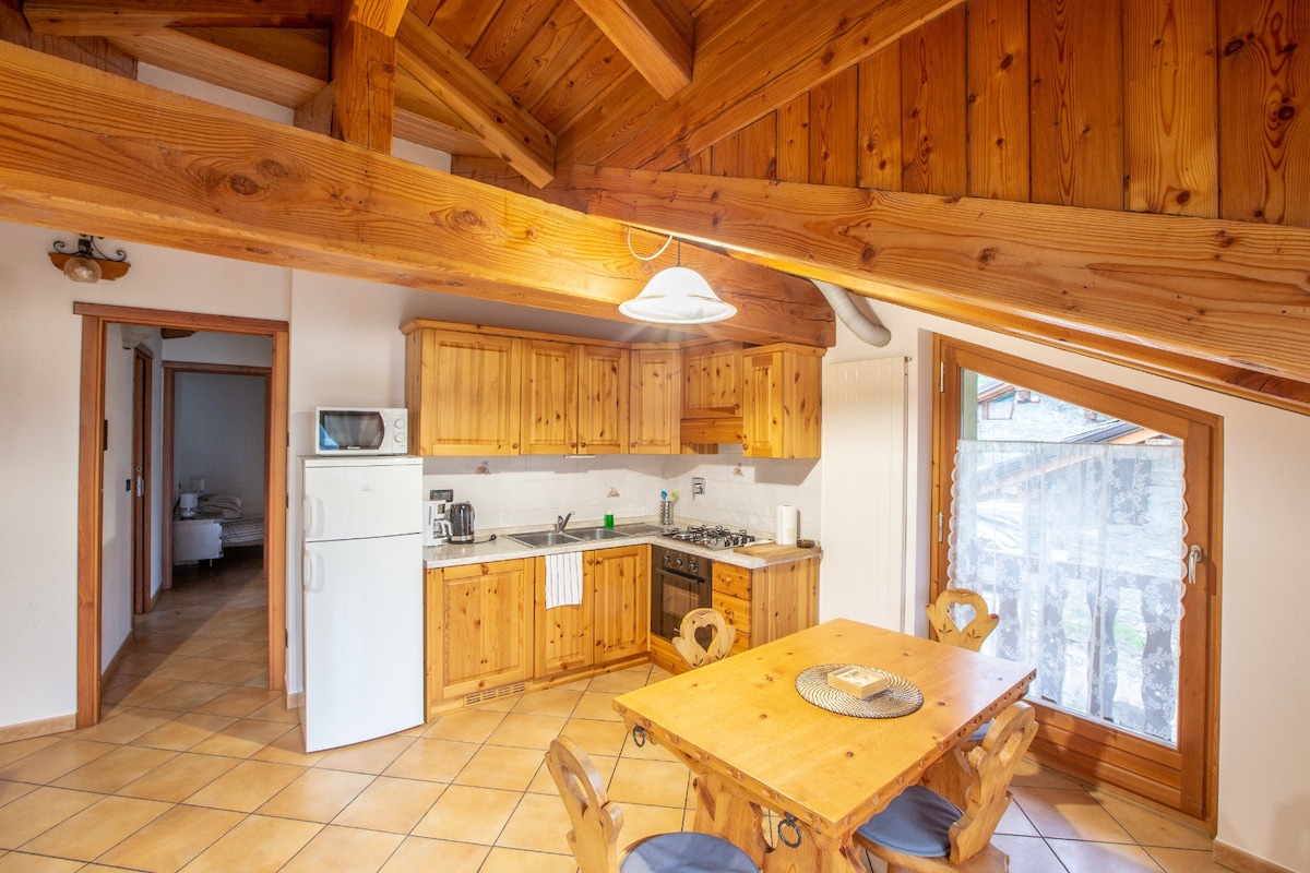 带阳台和景观的公寓（ Casa Alpina-Sarre ）