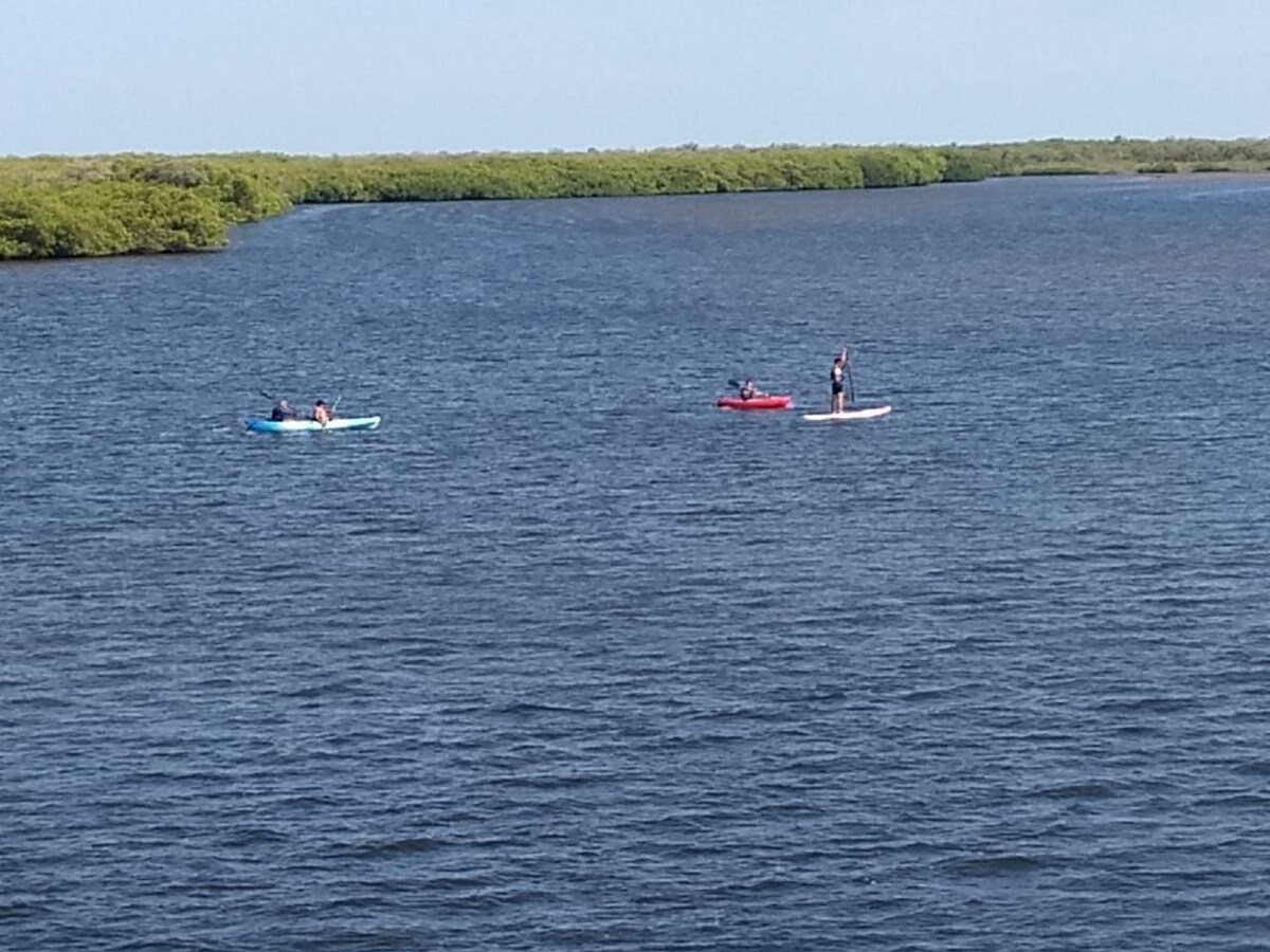 位于蓬塔埃斯梅拉达岛（ Isla Cortez Altata Punta Esmeralda ）的公寓