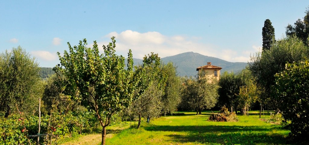 Junior suite in historical Villa