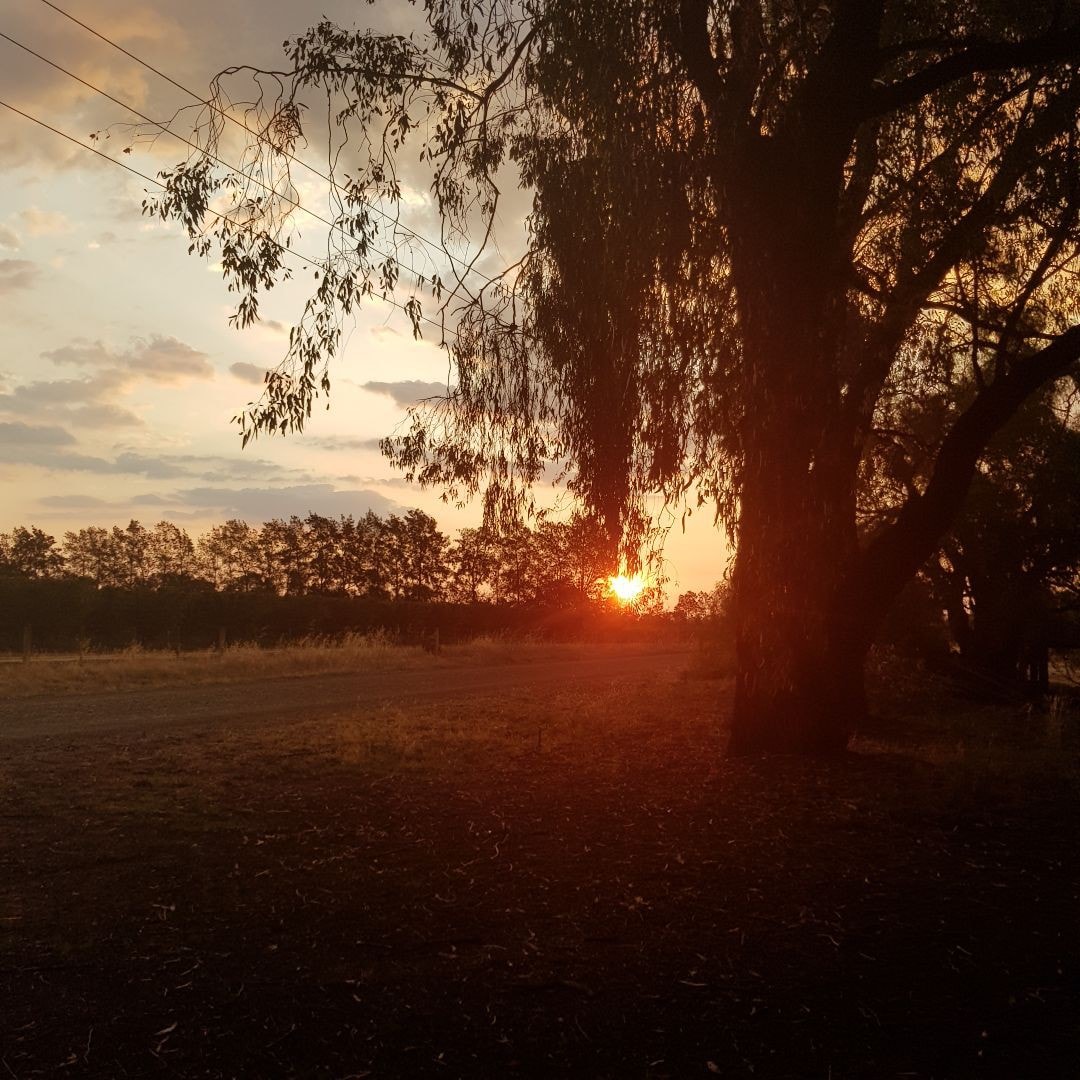 Habitat Cobram Stays靠近Murray河