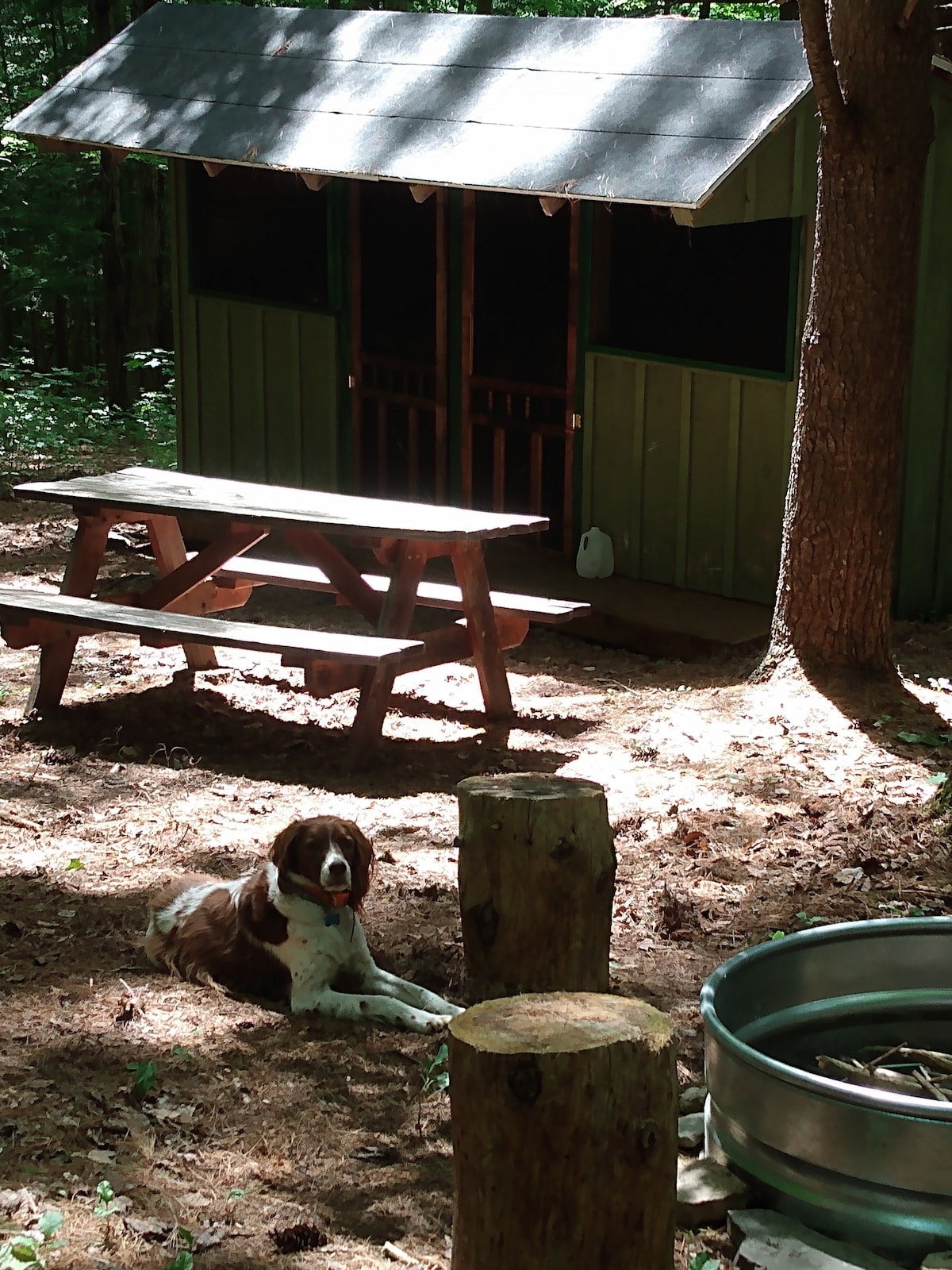 土狼窝乡村小屋