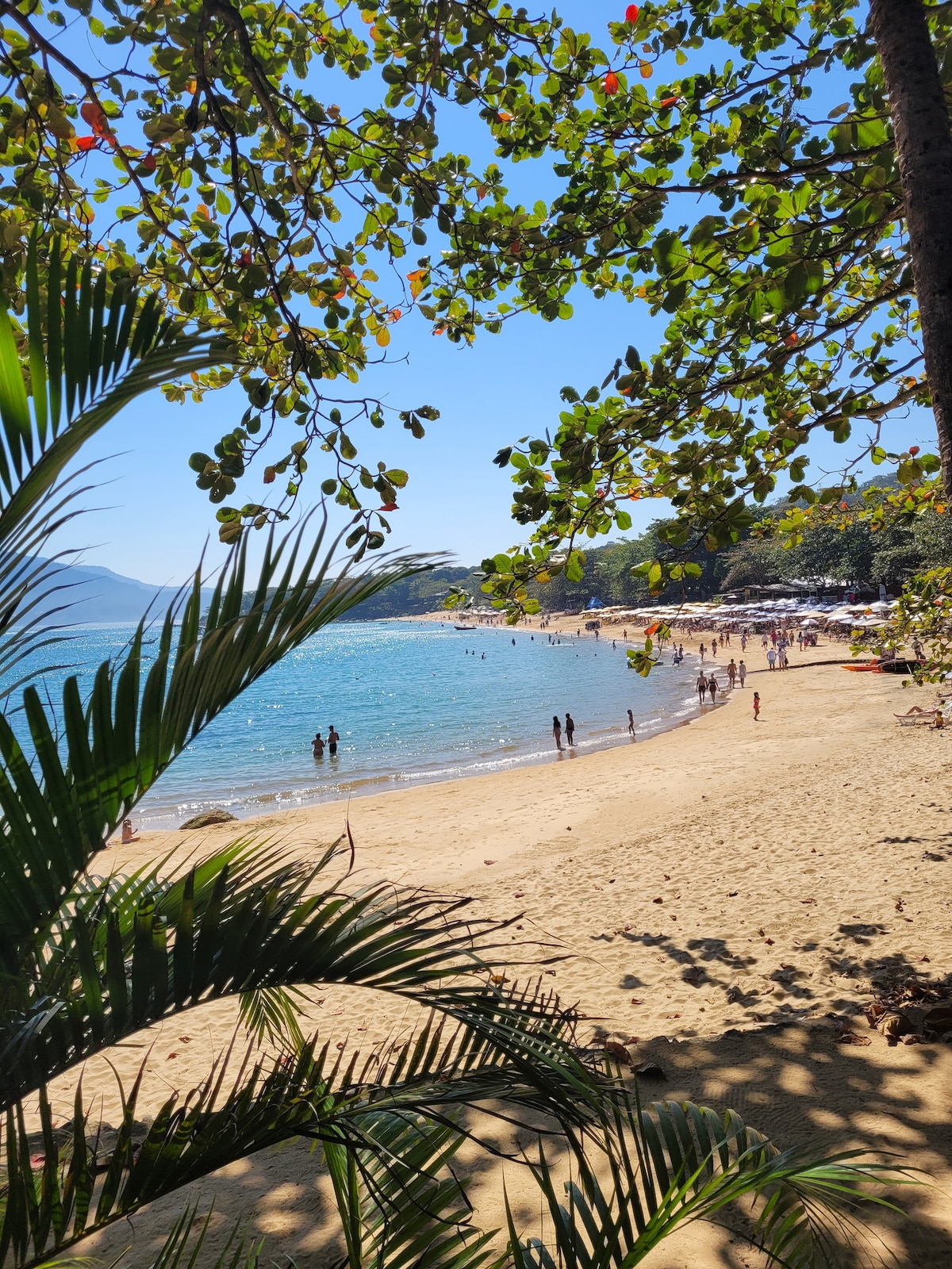 Yacamim House, Curral Beach - Ilhabela