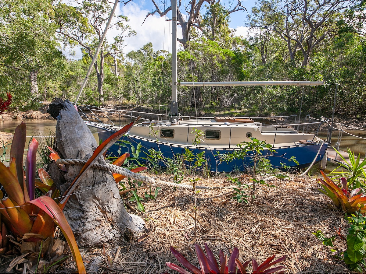 The Boat in The Bush at Agnes Water