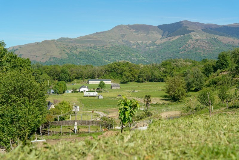 Gîte la Brigaille ，上皮里尼省Ouzous的住宿