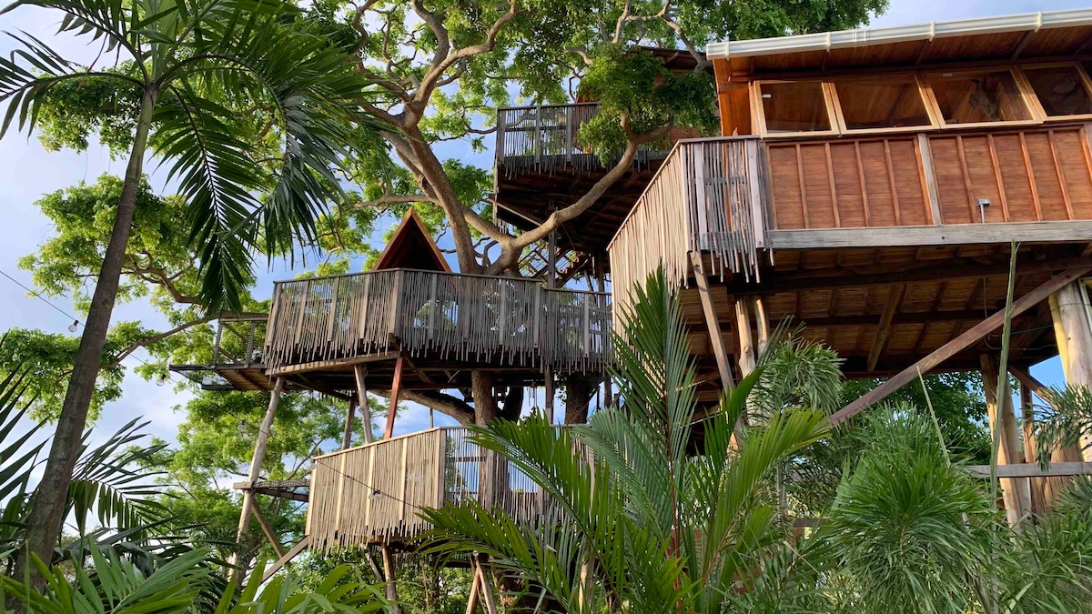 Coco Salvaje Tree House