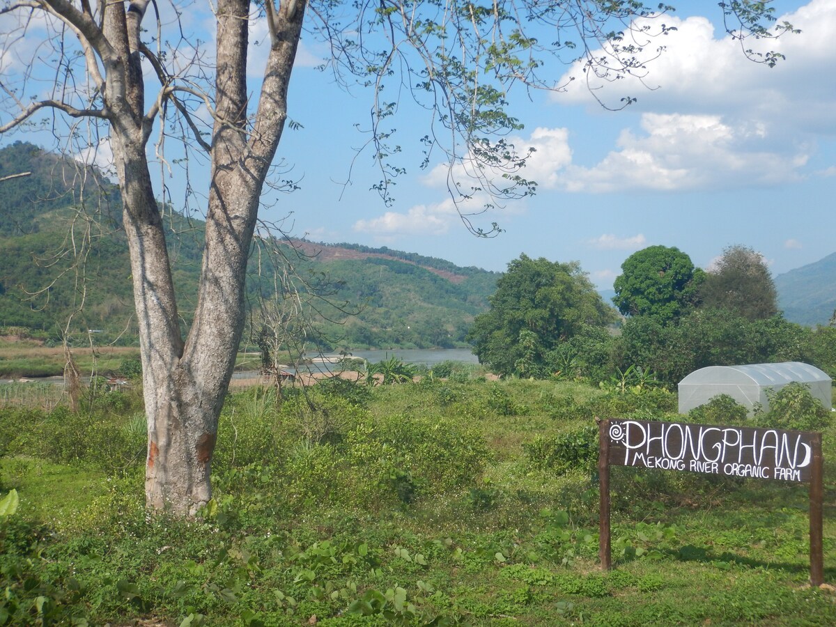 Phongphan Mekong河有机农场（河景）