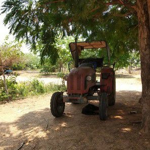 Farm stay with nature around