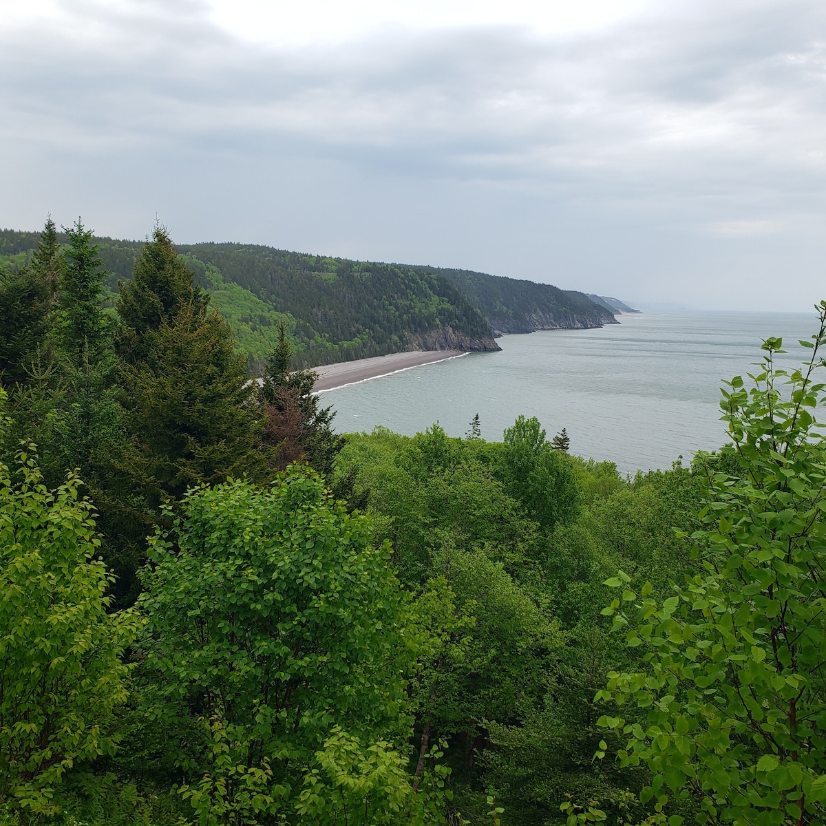 位于芬迪湾（ Bay of Fundy ）的温馨公寓。