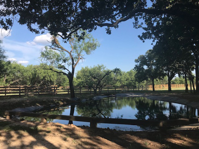 Hidden Paradise in Central Texas with Pool/Hot Tub