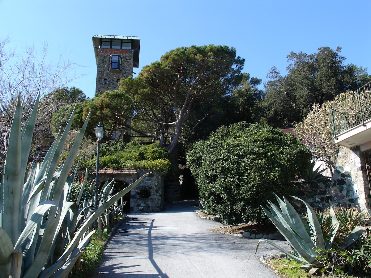 海景蒙特罗索历史悠久的房源， CASA CHIARA