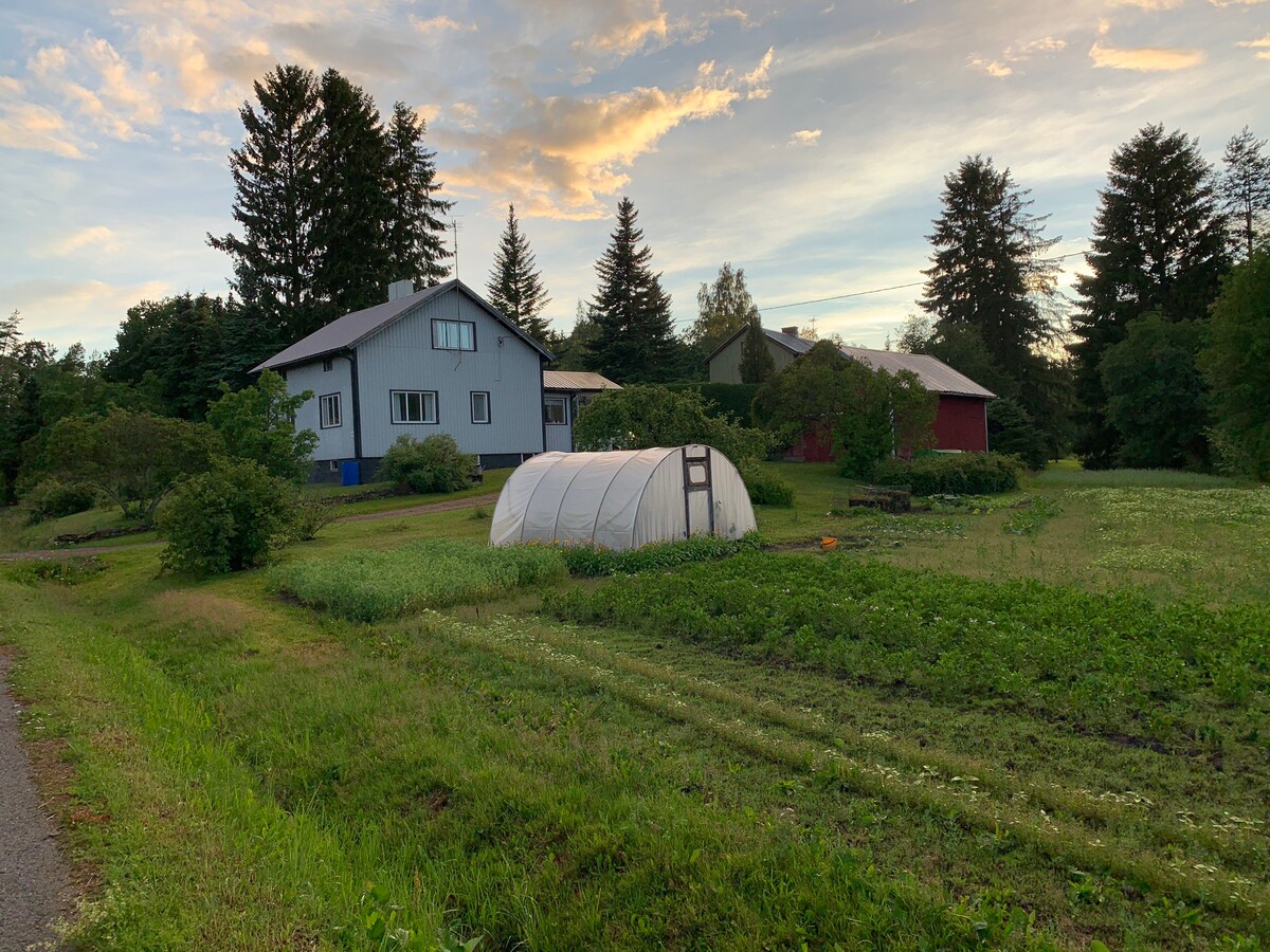 房屋和花园，靠近Pyhäjärvi湖