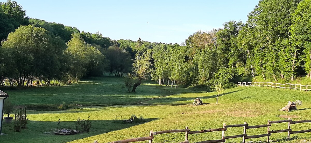 Les saules de Queyssac