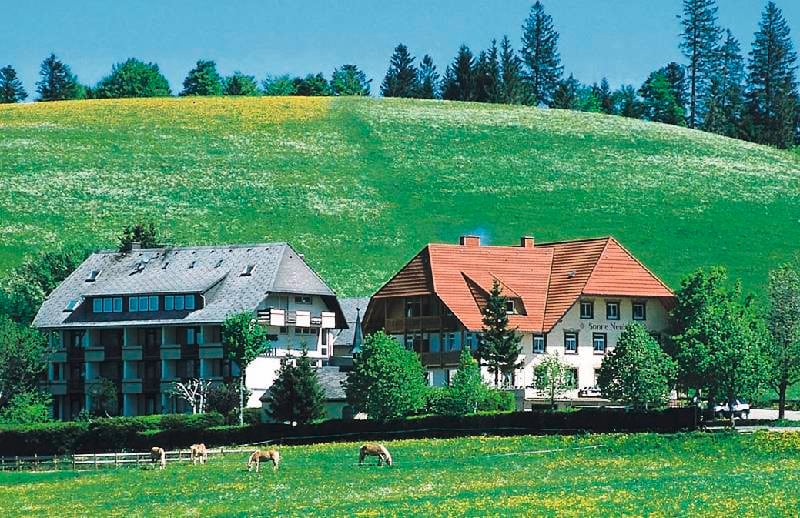 Landhotel Gasthaus SonneNeuhäusle, (St. Märgen), Nr. 05 - Ferienwohnung Kandel mit Balkon