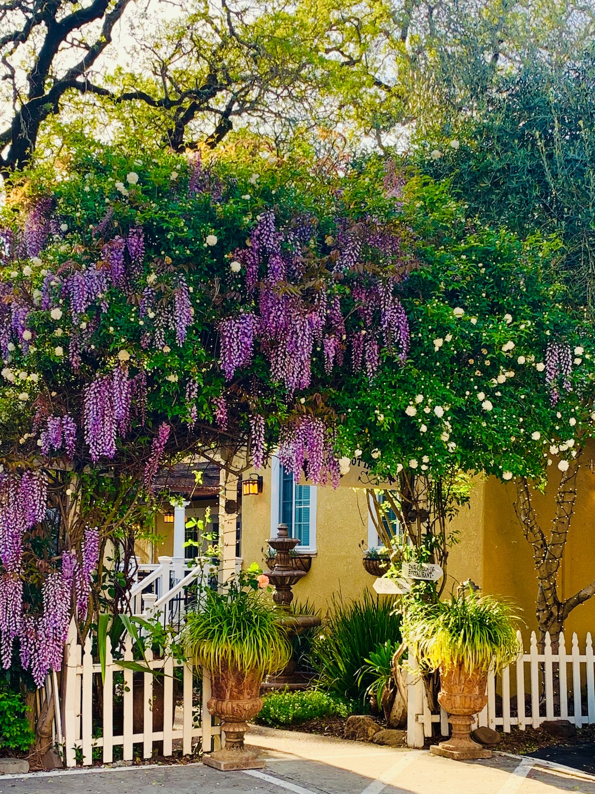 Glen Ellen Inn Creekside Cottage