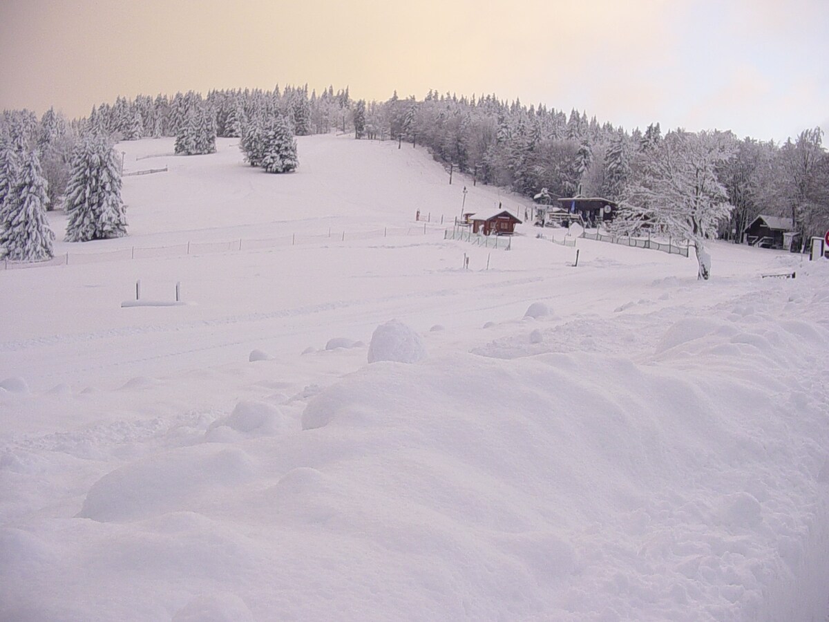 海拔1115米的风景变化： Chalet Beaupré