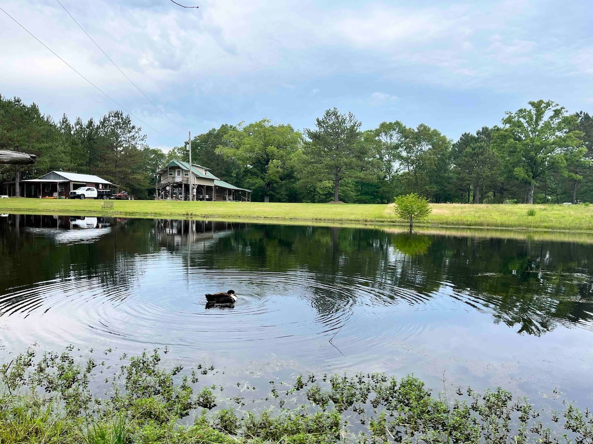 Relaxing Farm house with pond