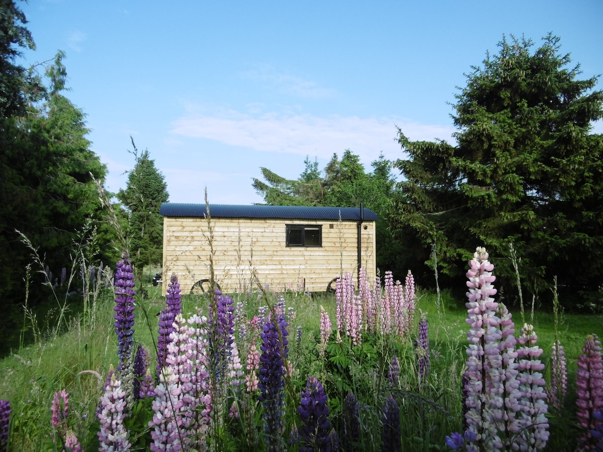 Lupin Springfield Luxury Shepherds huts