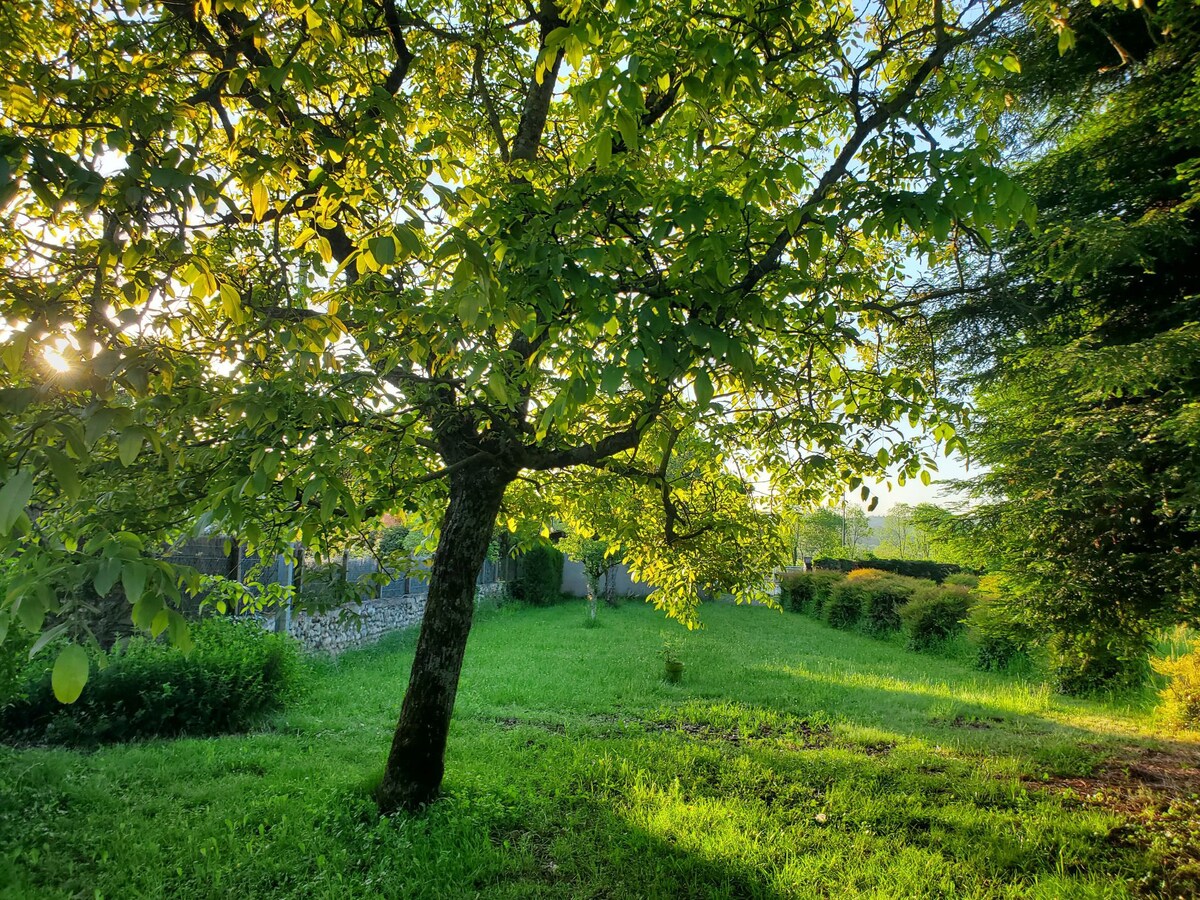 Chambre forêt au calme