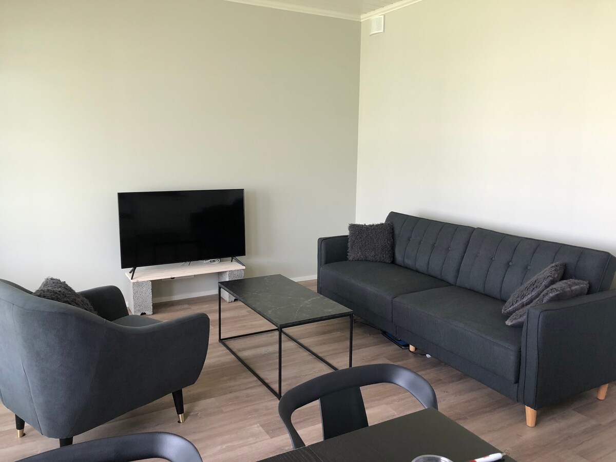 brand new one bedroom flat in center -24h check in