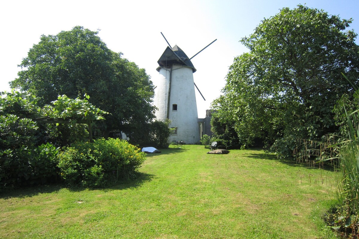 home in the Flemish Ardennes between the meadows