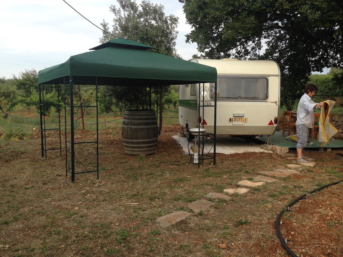 Caravan under oak  for true lover  Conversano BA