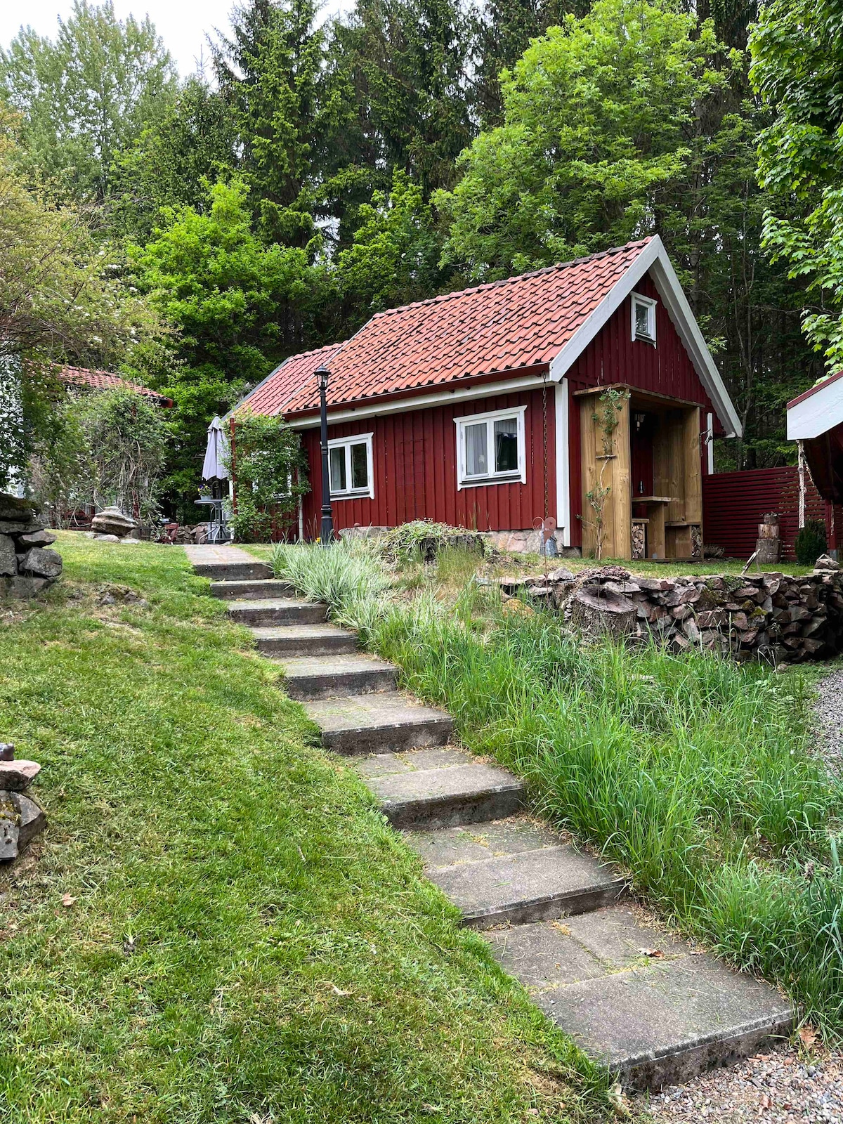 您想住在森林和大自然附近 🏡