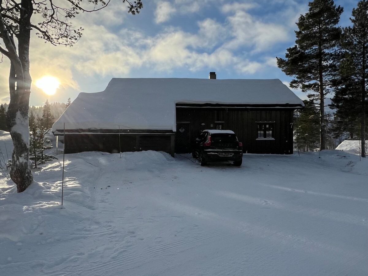 Flott fjellhytte på Hovden