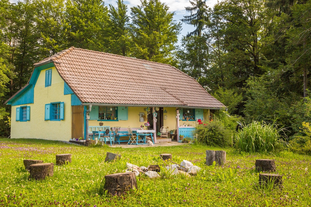 蓝色小屋-大自然中的一栋小家庭住宅
