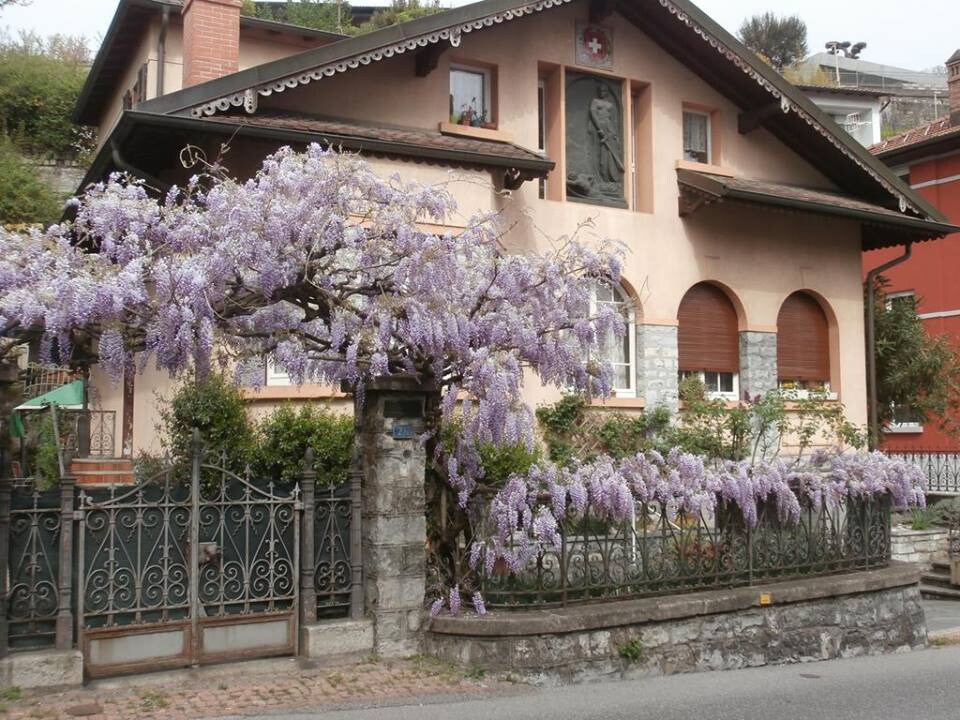Elvezia别墅（ Villa Elvezia ） -提契诺州瓦卡洛（ Vacallo ）的私人膳宿公寓