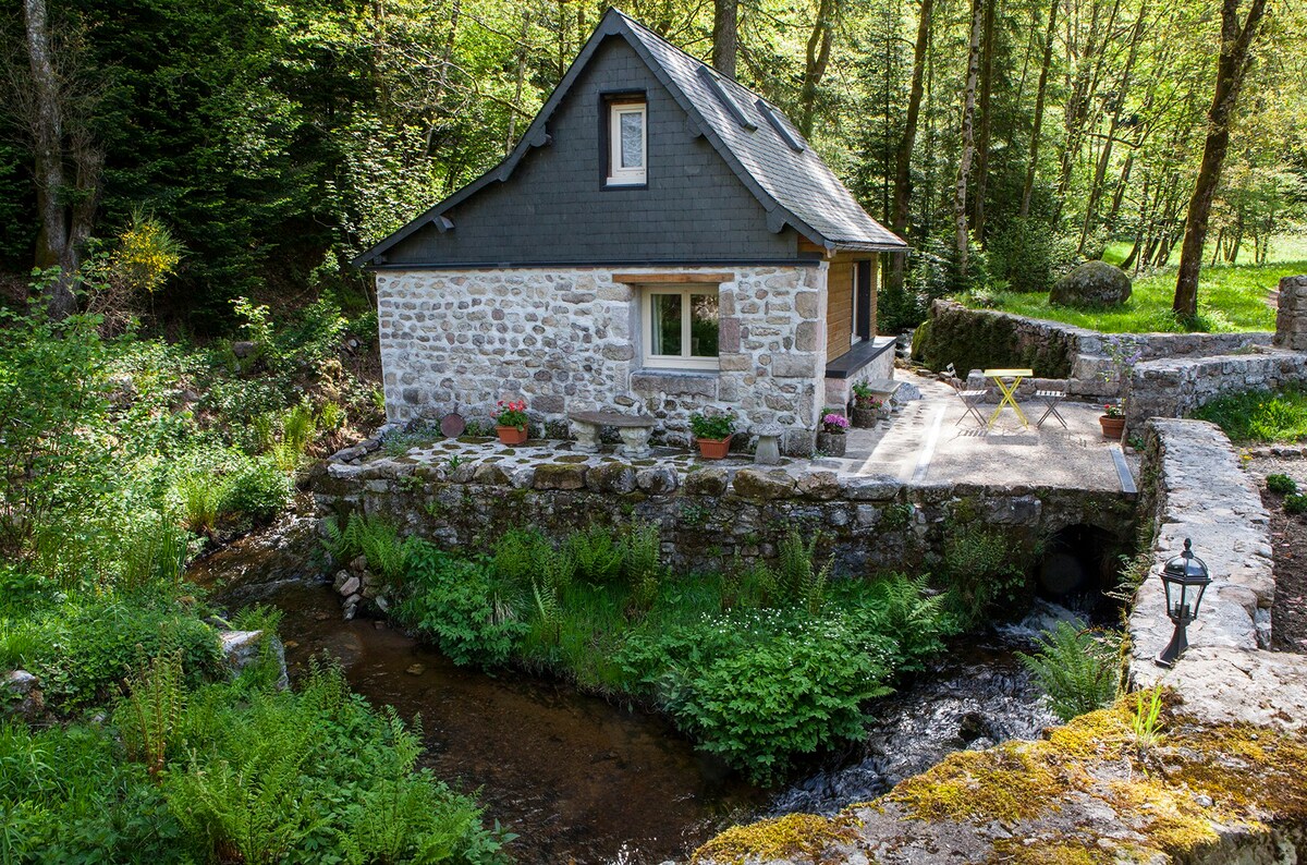 The Moulin de villesaint的River Cottage