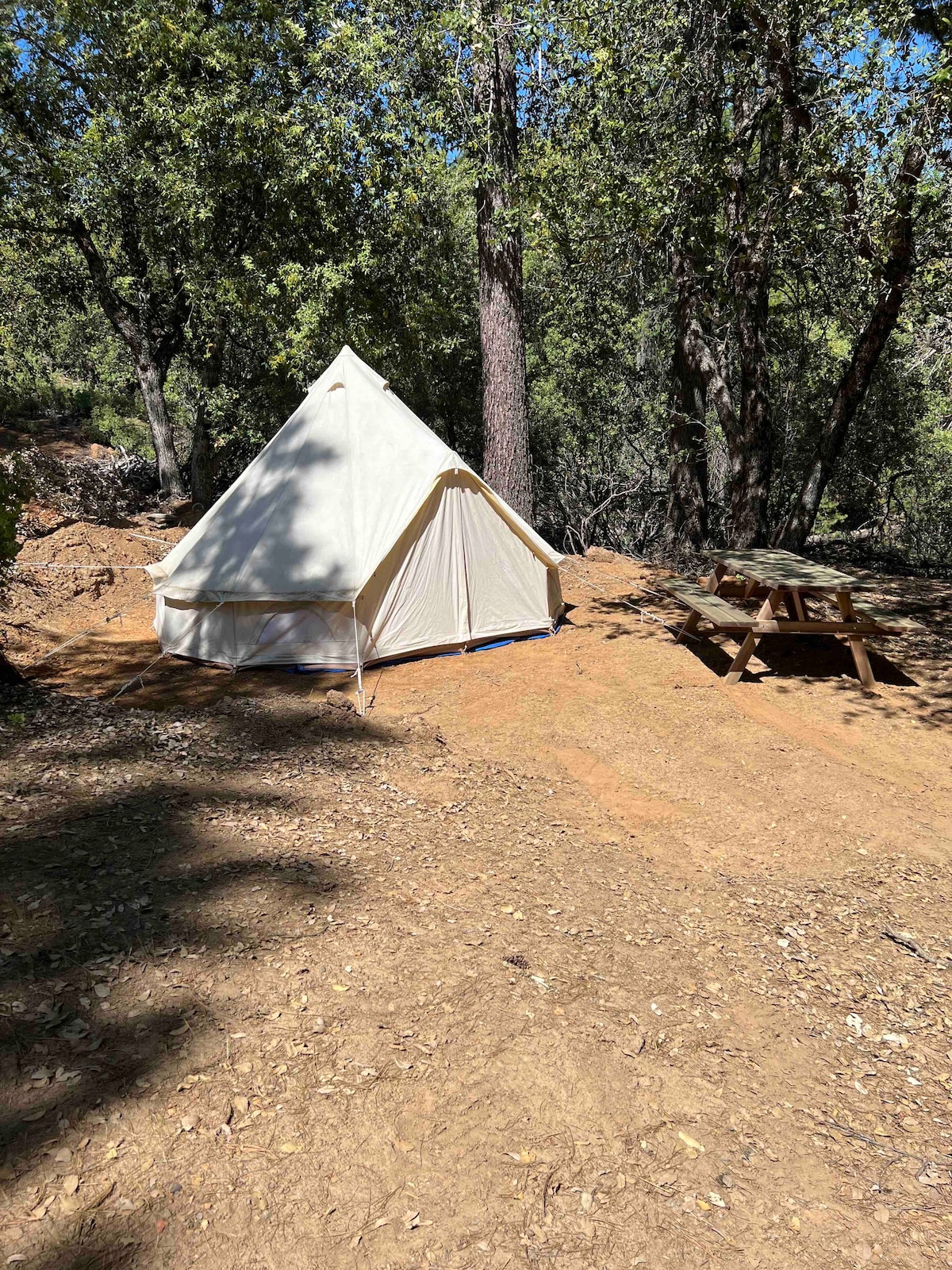 距离优胜美地（ Yosemite ）的20号帐篷/蒙古包露营， 24英里