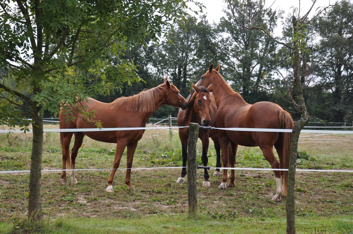 Dombes & Bugey Ferme激情之旅