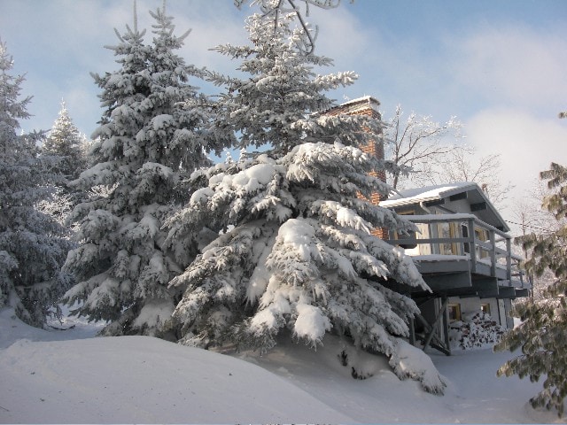 Blue Knob Mountain Chalet