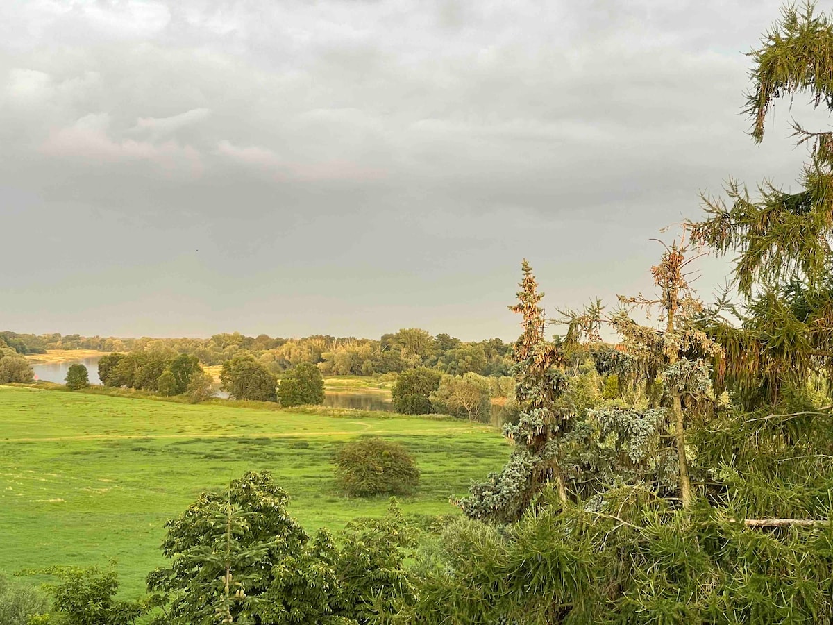 View of the Elbe Rosslau