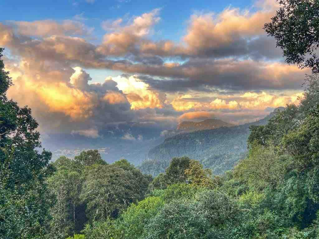 森林天空之家（ Forest Skyhouse ） ：步行和野生动物-无线网络