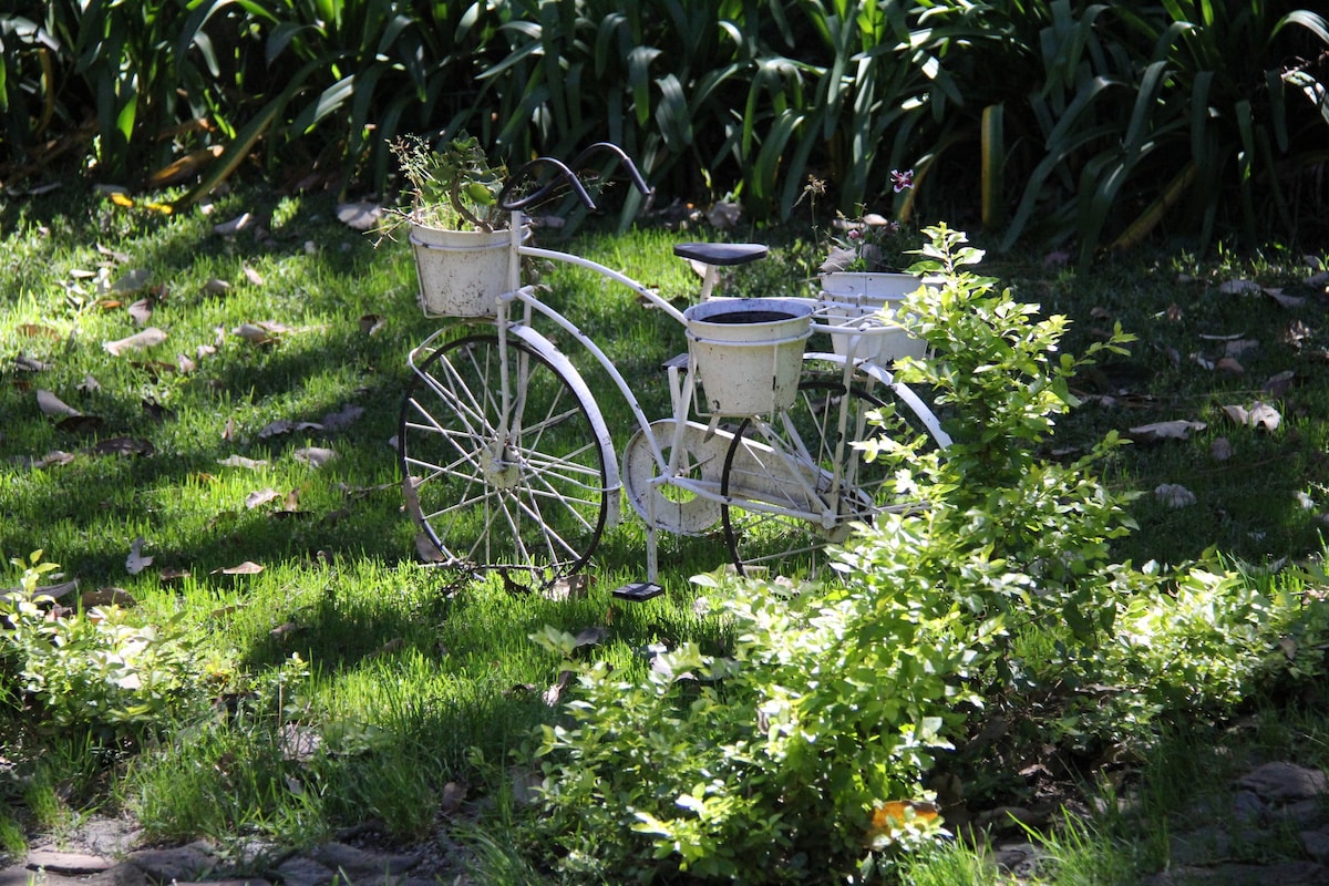 La Jauja tapalpa