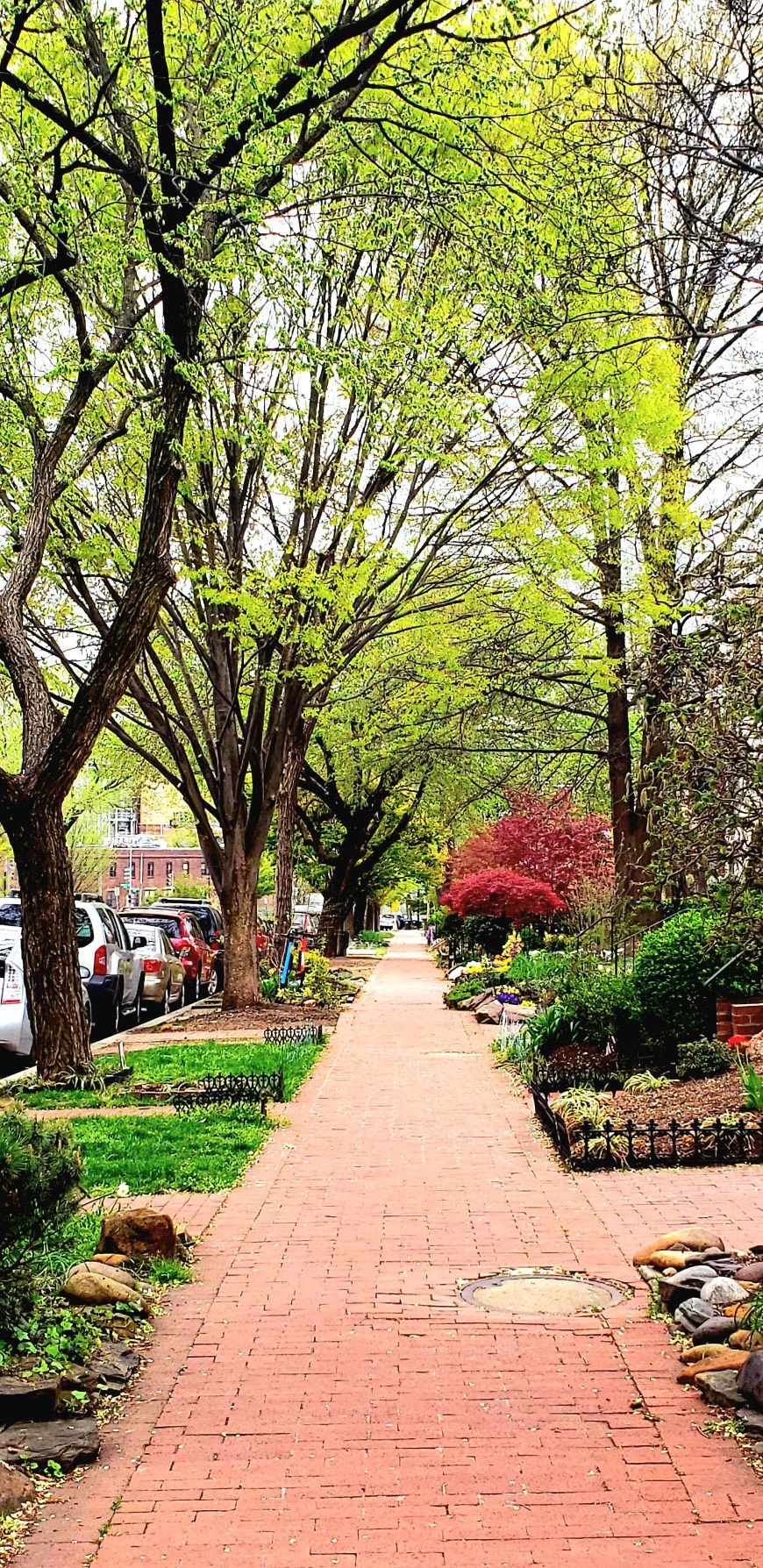 Historic Capitol Hill 3层Brick Row Home ！